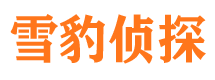 浠水市私家侦探